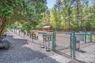 22 Dalonigei Ct, Brevard, NC 28712 - Photo 47