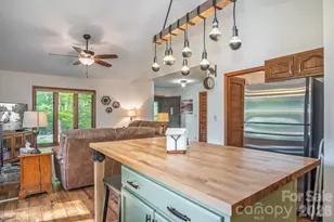 22 Dalonigei Ct, Brevard, NC 28712 - Photo 13