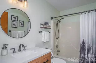 22 Dalonigei Ct, Brevard, NC 28712 - Photo 21