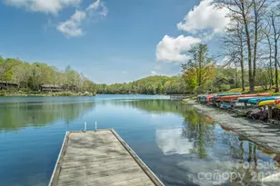 22 Dalonigei Ct, Brevard, NC 28712 - Photo 43