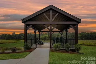 272 Alluvium Ln, Waxhaw, NC 28173 - Photo 9