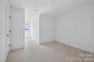 3031 Casting St, Charlotte, NC 28206 - Photo 19