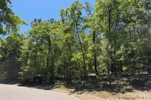 170 Lake Mallard Ln, Camden, SC 29020 - Photo 1