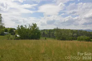 16 Rocking Chair Ln, Leicester, NC 28748 - Photo 21