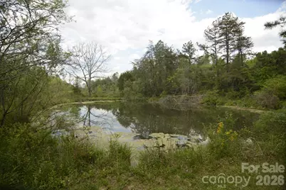 16 Rocking Chair Lane, Leicester, NC 28748 - Photo 3