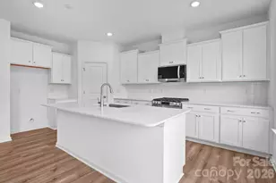 1311 Mary Jane Ave, Waxhaw, NC 28173 - Photo 5