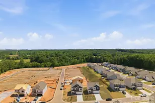 5694 Hagler Loop, Catawba, NC 28609 - Photo 33