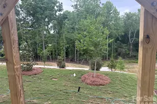 1315 Mary Jane Ave, Waxhaw, NC 28173 - Photo 11