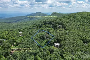 7109 Grandview Ext, Newland, NC 28657 - Photo 3