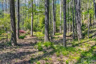211 Rustic Rd, Waynesville, NC 28786 - Photo 41