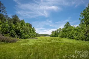 226 Big Rock Dr, Rutherfordton, NC 28139 - Photo 33