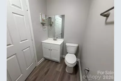 149 Red Tip Lane, Mooresville, NC 28117 - Photo 19