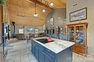 442 Blantyre Church Rd, Horse Shoe, NC 28742 - Photo 9