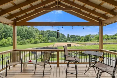 442 Blantyre Church Road, Horse Shoe, NC 28742 - Photo 43