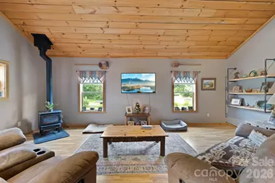 442 Blantyre Church Road, Horse Shoe, NC 28742 - Photo 3
