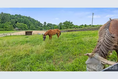 442 Blantyre Church Road, Horse Shoe, NC 28742 - Photo 45