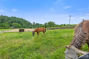 442 Blantyre Church Rd, Horse Shoe, NC 28742 - Photo 45