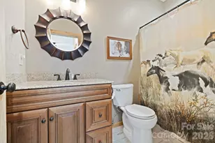 442 Blantyre Church Rd, Horse Shoe, NC 28742 - Photo 39