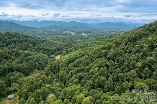 205 Sleepy Holw Dr, Mars Hill, NC 28754 - Photo 21