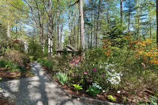 2401 Little River Rd, Hendersonville, NC 28739 - Photo 3