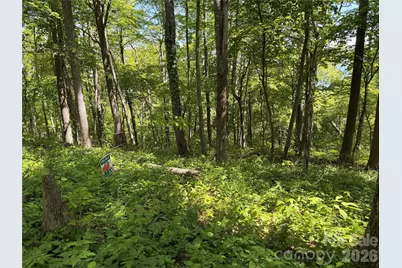 24 Smokey Road, Asheville, NC 28803 - Photo 47
