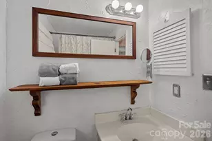 817 Bent Wood Ct, Matthews, NC 28105 - Photo 17
