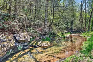 276 Oleta Mill Trail, Hendersonville, NC 28792 - Photo 27