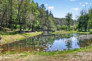 276 Oleta Mill Trail, Hendersonville, NC 28792 - Photo 37