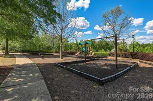 446 Dudley Dr, Fort Mill, SC 29715 - Photo 45