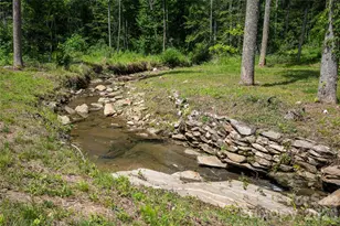 14 Brookside Rd, Asheville, NC 28803 - Photo 41