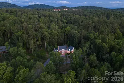 14 Brookside Road, Asheville, NC 28803 - Photo 47