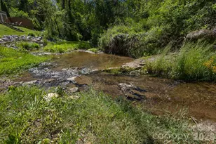 128 Lower Grassy Branch Rd, Asheville, NC 28805 - Photo 23