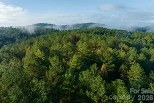 2108 River Hill Rd, Murphy, NC 28906 - Photo 31