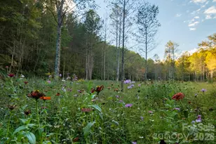 2108 River Hill Rd, Murphy, NC 28906 - Photo 25