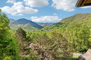 348 Valley Creek Dr, Maggie Valley, NC 28751 - Photo 17