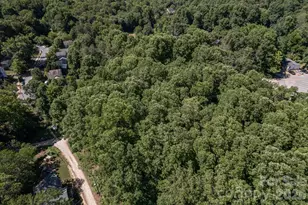 17 Chicago Ave, Black Mountain, NC 28711 - Photo 13