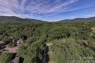 17 Chicago Ave, Black Mountain, NC 28711 - Photo 17