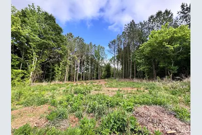 170 Beagle Club Road, Cherryville, NC 28021 - Photo 13