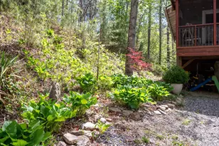 190 Shope Crk Rd, Asheville, NC 28805 - Photo 25