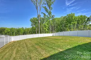 3710 Stanley Crk Dr, Mount Holly, NC 28120 - Photo 45