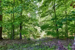 1548 Afton Wy, Fort Mill, SC 29708 - Photo 37