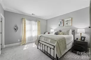 18928 Peninsula Point Dr, Cornelius, NC 28031 - Photo 41