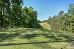 15512 Aviary Orch Wy, Charlotte, NC 28278 - Photo 47