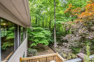 425 Winesap Blvd, Lake Lure, NC 28746 - Photo 21