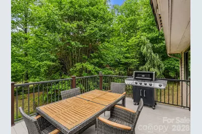 425 Winesap Boulevard, Lake Lure, NC 28746 - Photo 19