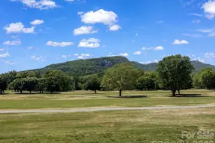 182 W Lake Dr S, Lake Lure, NC 28746 - Photo 7