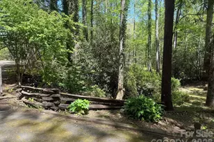 427 Wingfield Way, Brevard, NC 28712 - Photo 39