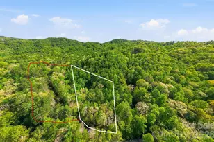 427 Wingfield Way, Brevard, NC 28712 - Photo 47