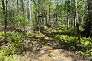 427 Wingfield Way, Brevard, NC 28712 - Photo 35