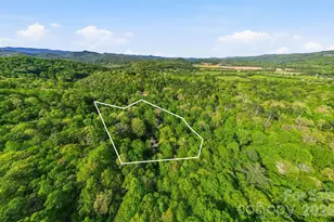 427 Wingfield Way, Brevard, NC 28712 - Photo 45